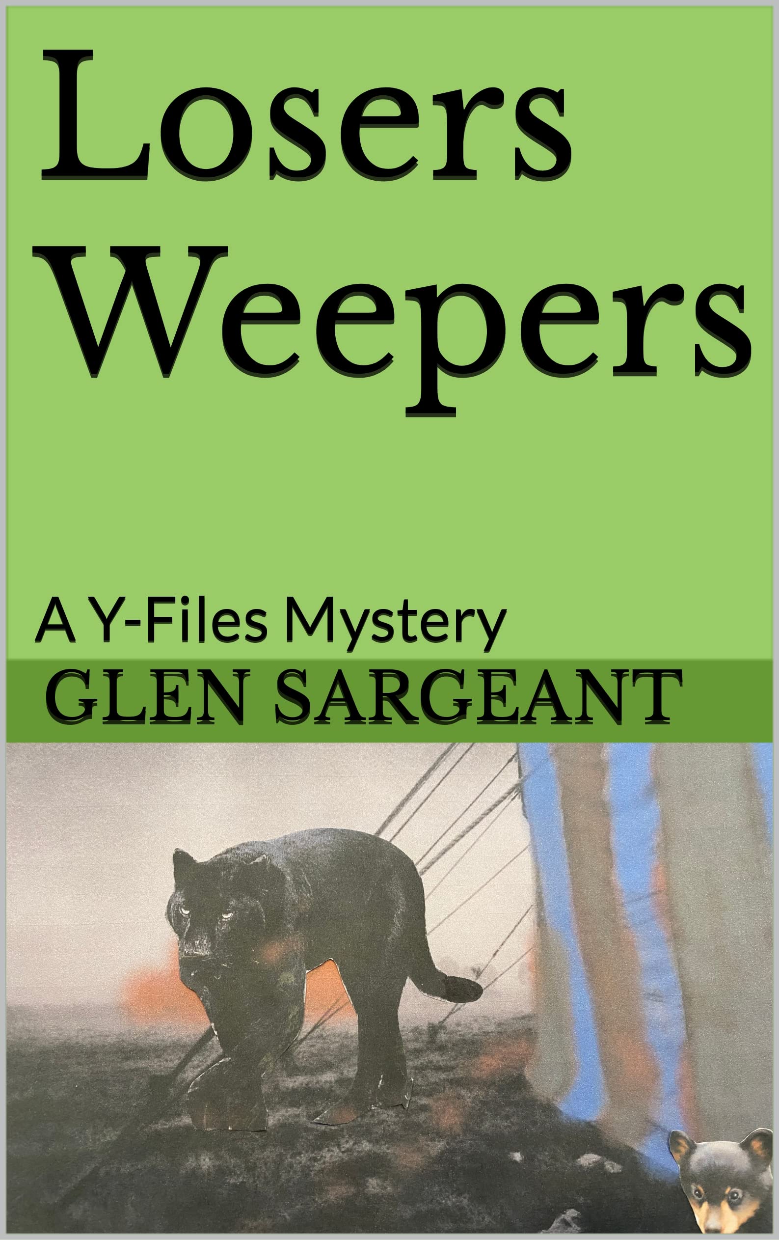 Losers Weepers A YFiles Mystery by Glen Sargeant Goodreads
