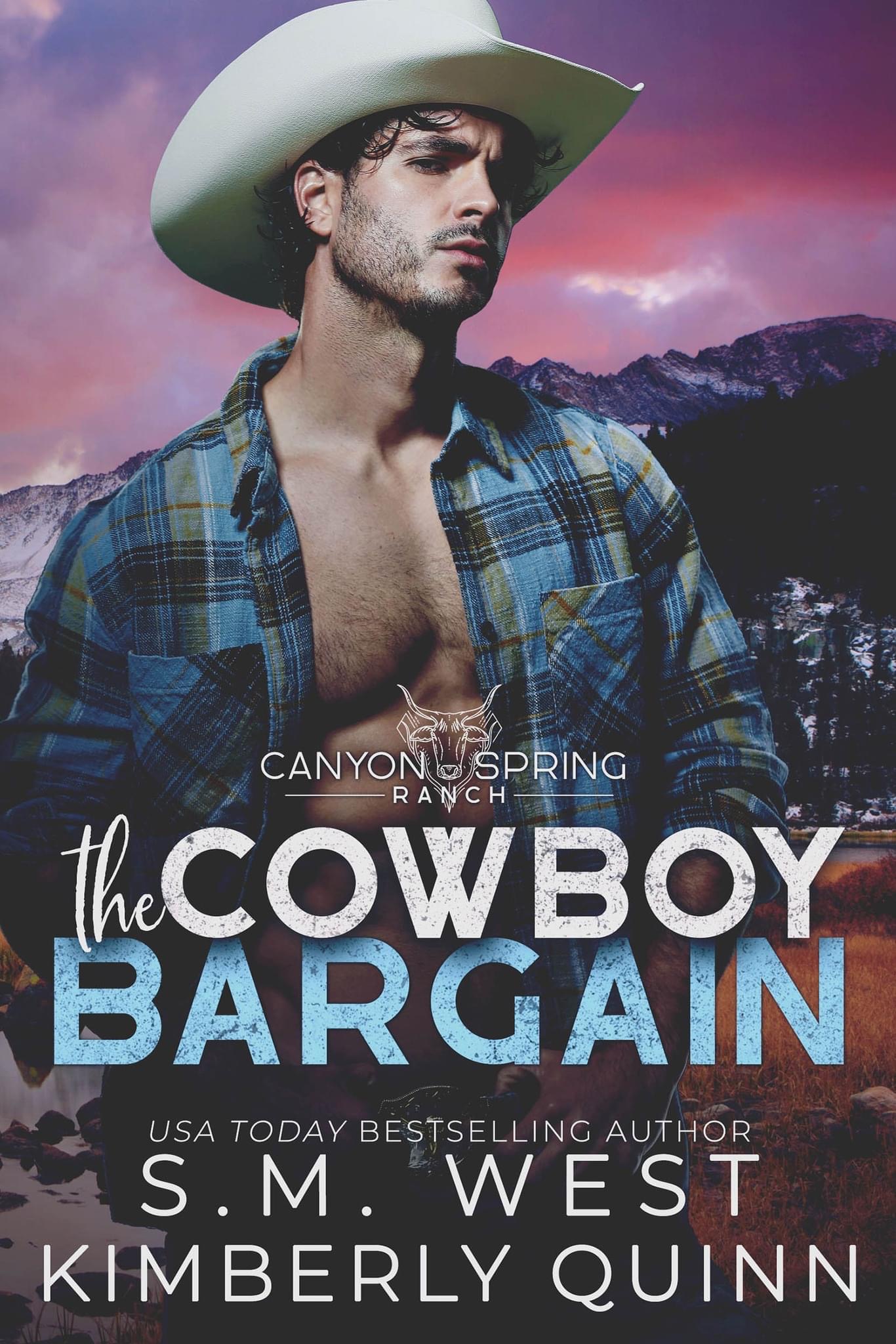 The Cowboy Bargain book cover