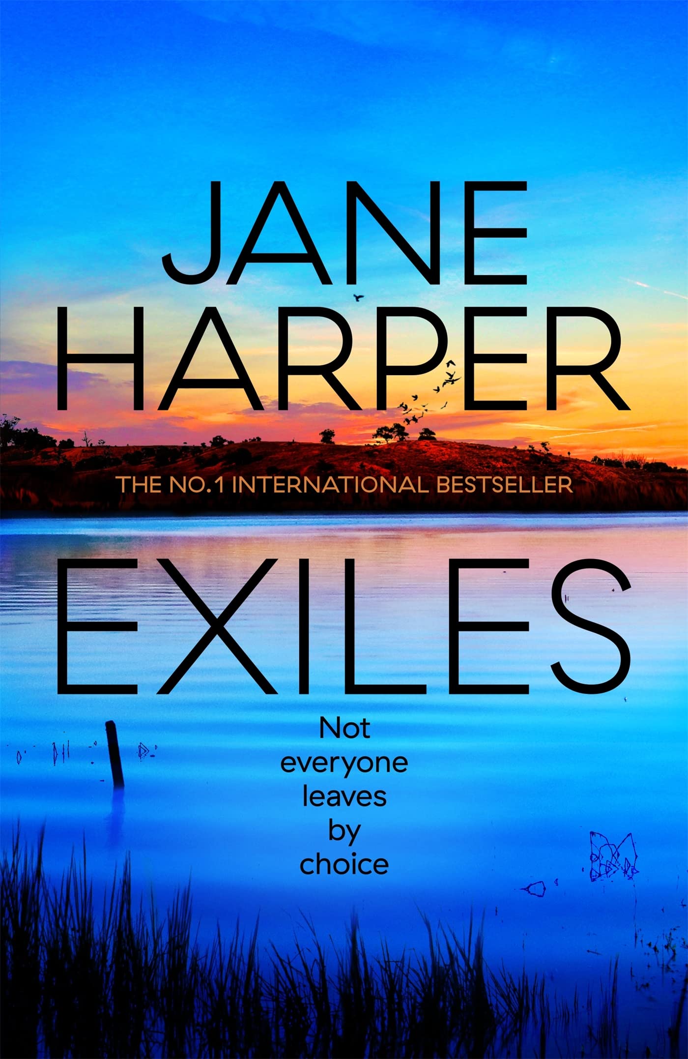 Exiles (Aaron Falk, #3)