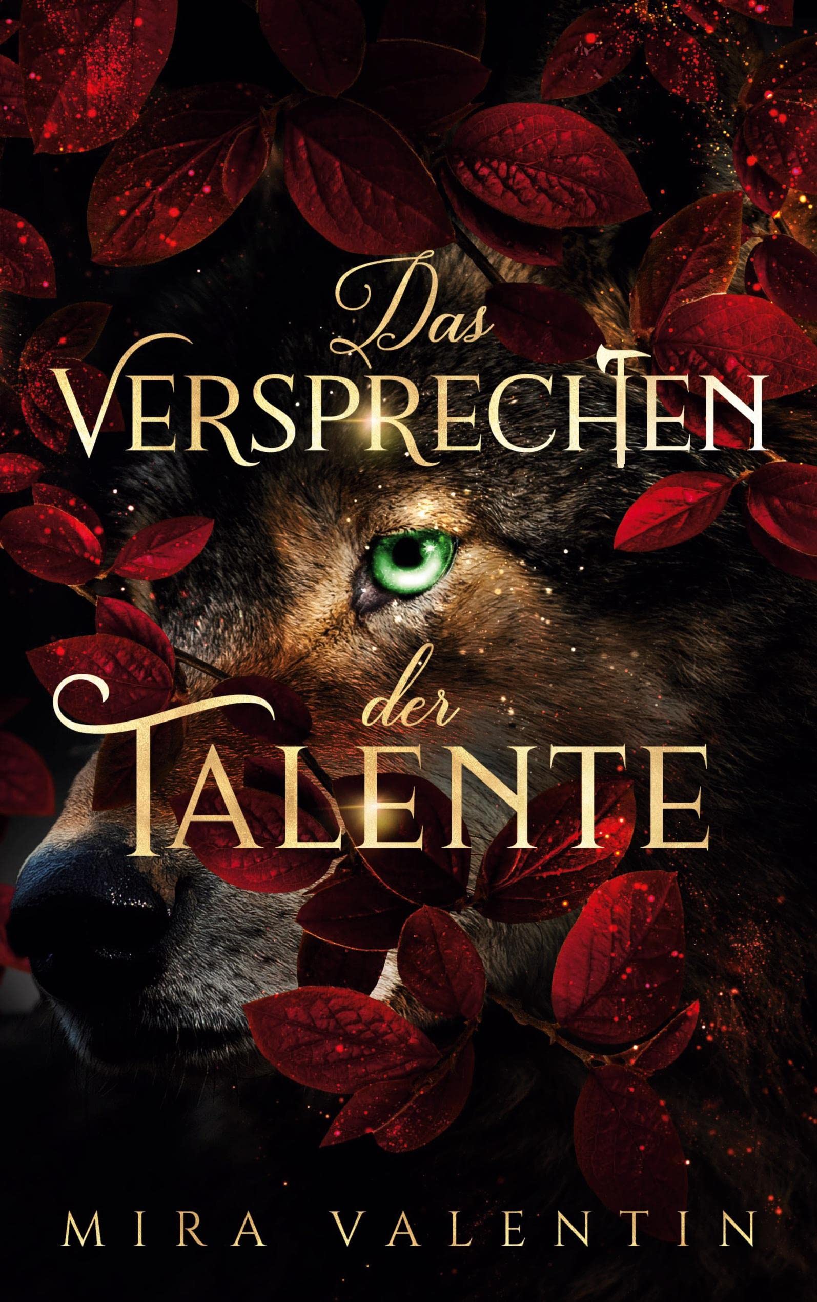 Das Versprechen der Talente book cover