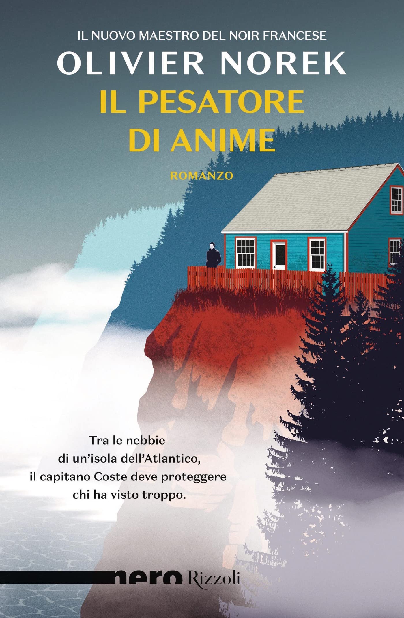 Dans les brumes de Capelans book cover