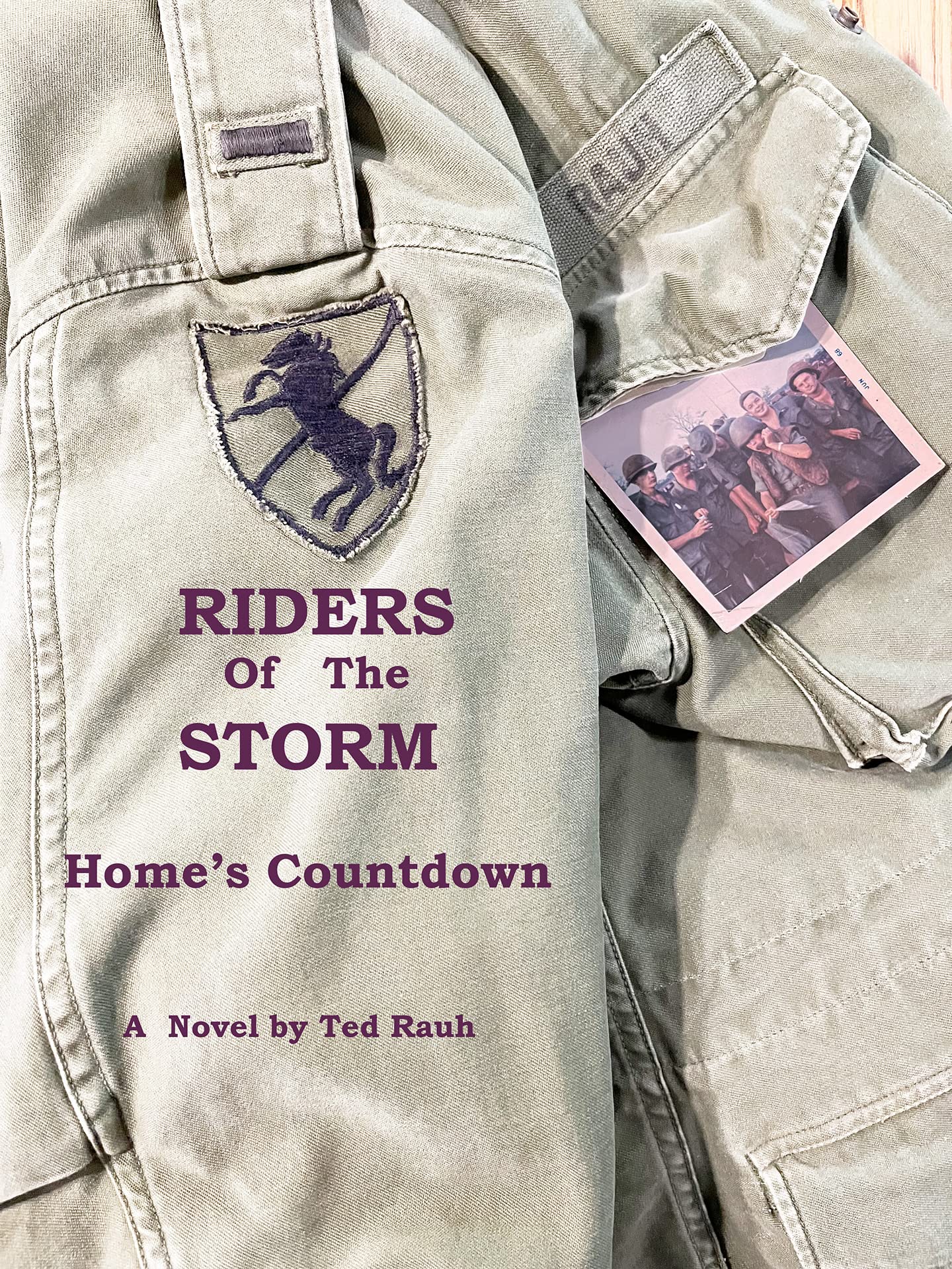 Riders of the Storm: Home's Countdown by T N Rauh | Goodreads