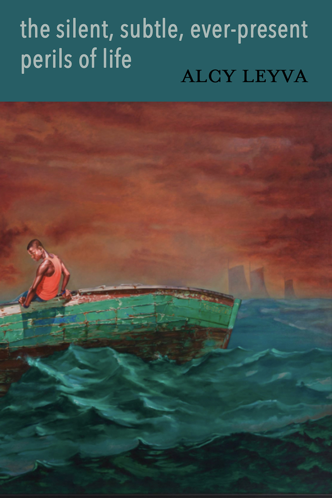 the silent, subtle, ever-present perils of life book cover