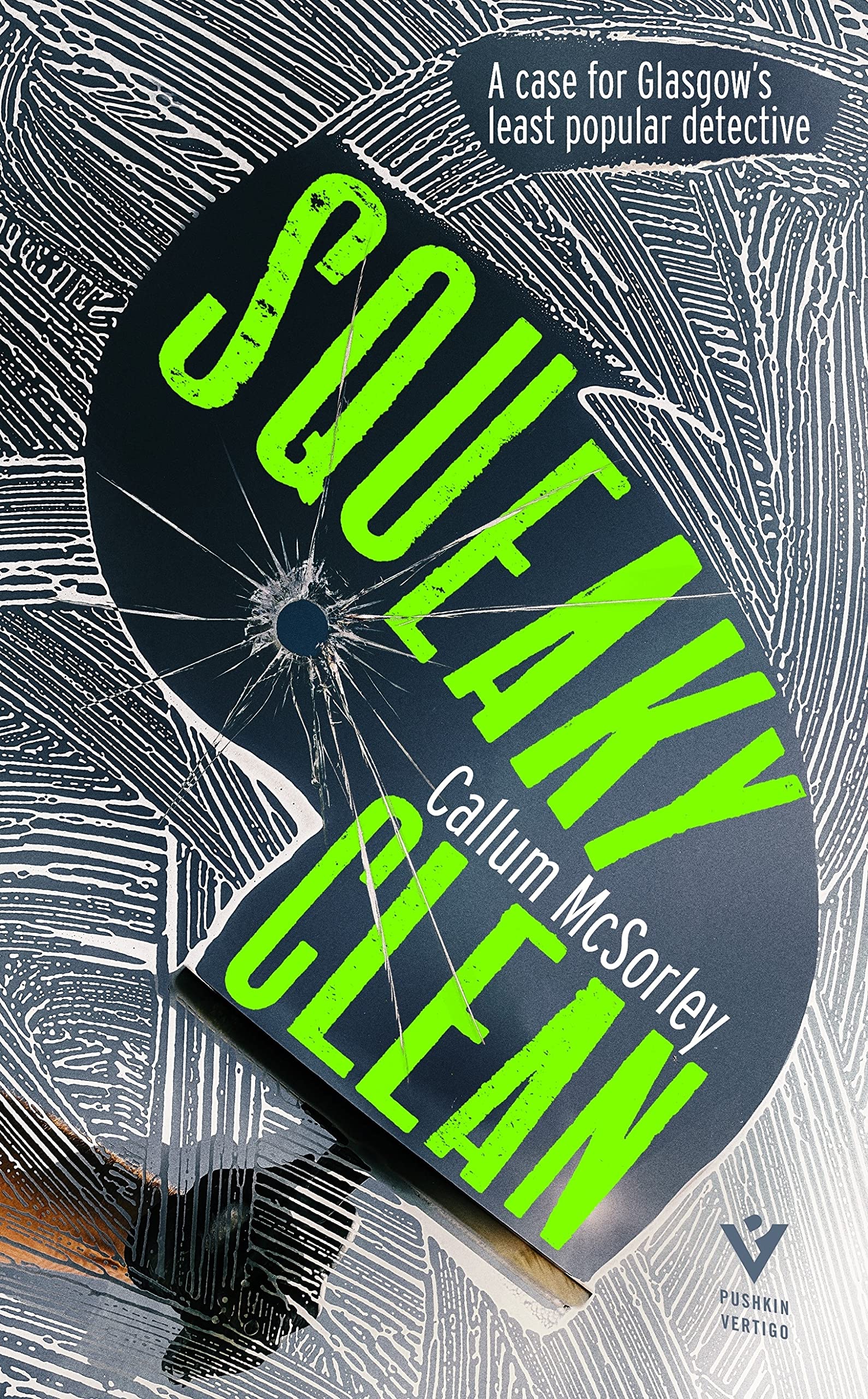 Squeaky Clean book cover