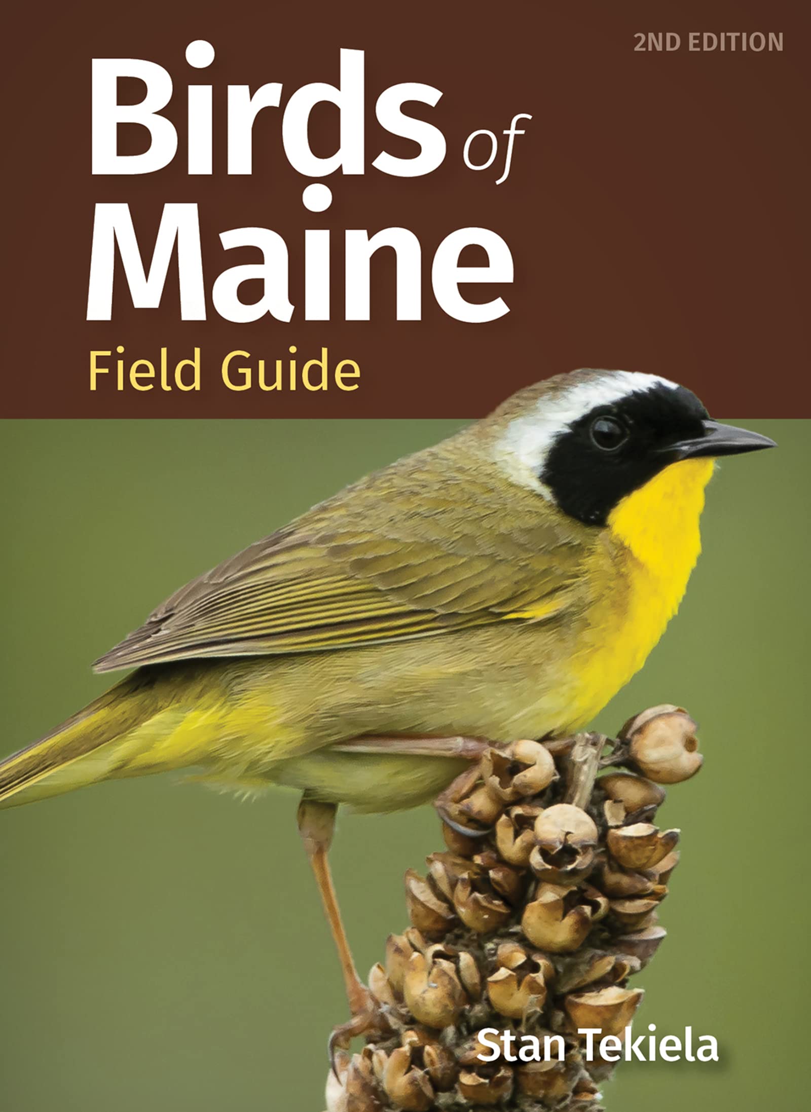 A PICTURE BOOK GUIDE TO MAINE visual data 5