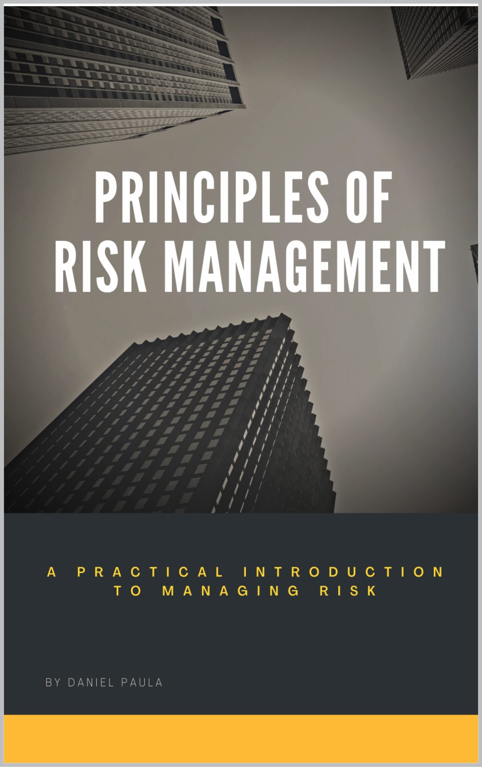 Principles of Risk Management: A Practical Introduction to Managing Risk | For Beginners