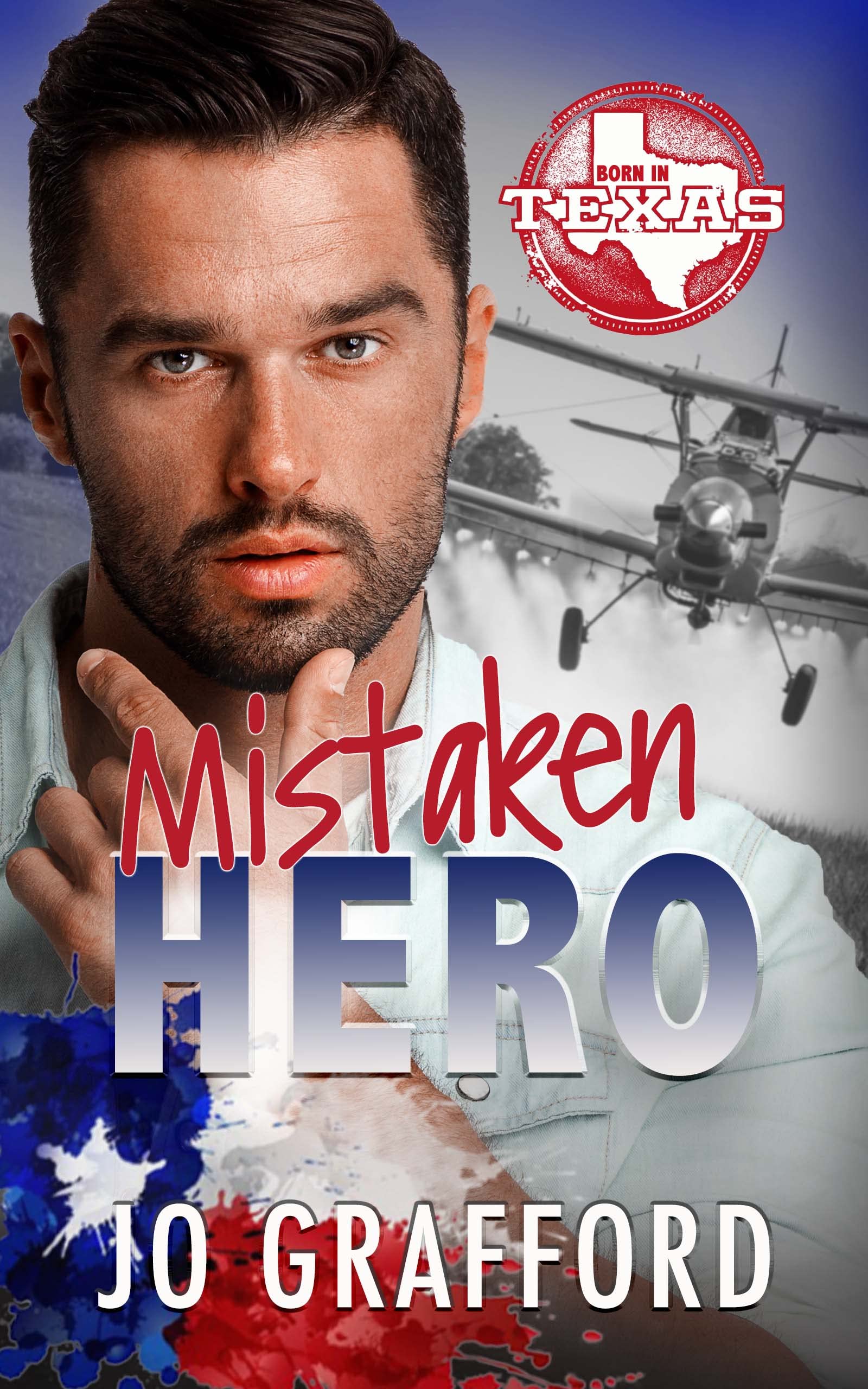 Mistaken Hero book cover