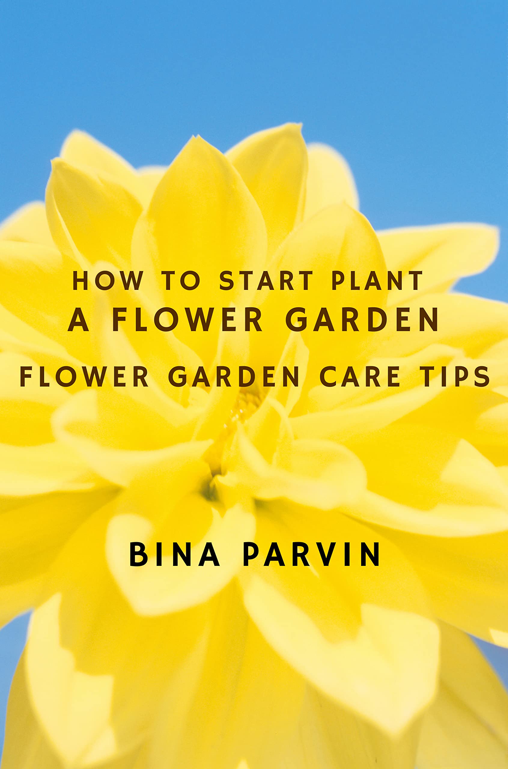 How to Start Plant A Flower Garden Flower Garden Care Tips by Bina