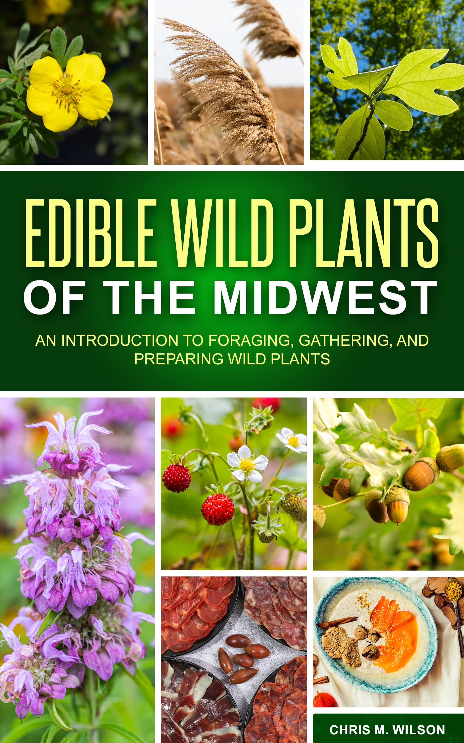 Edible Wild Plants Of The Midwest An Introduction To Foraging, Gathering, And Preparing Wild