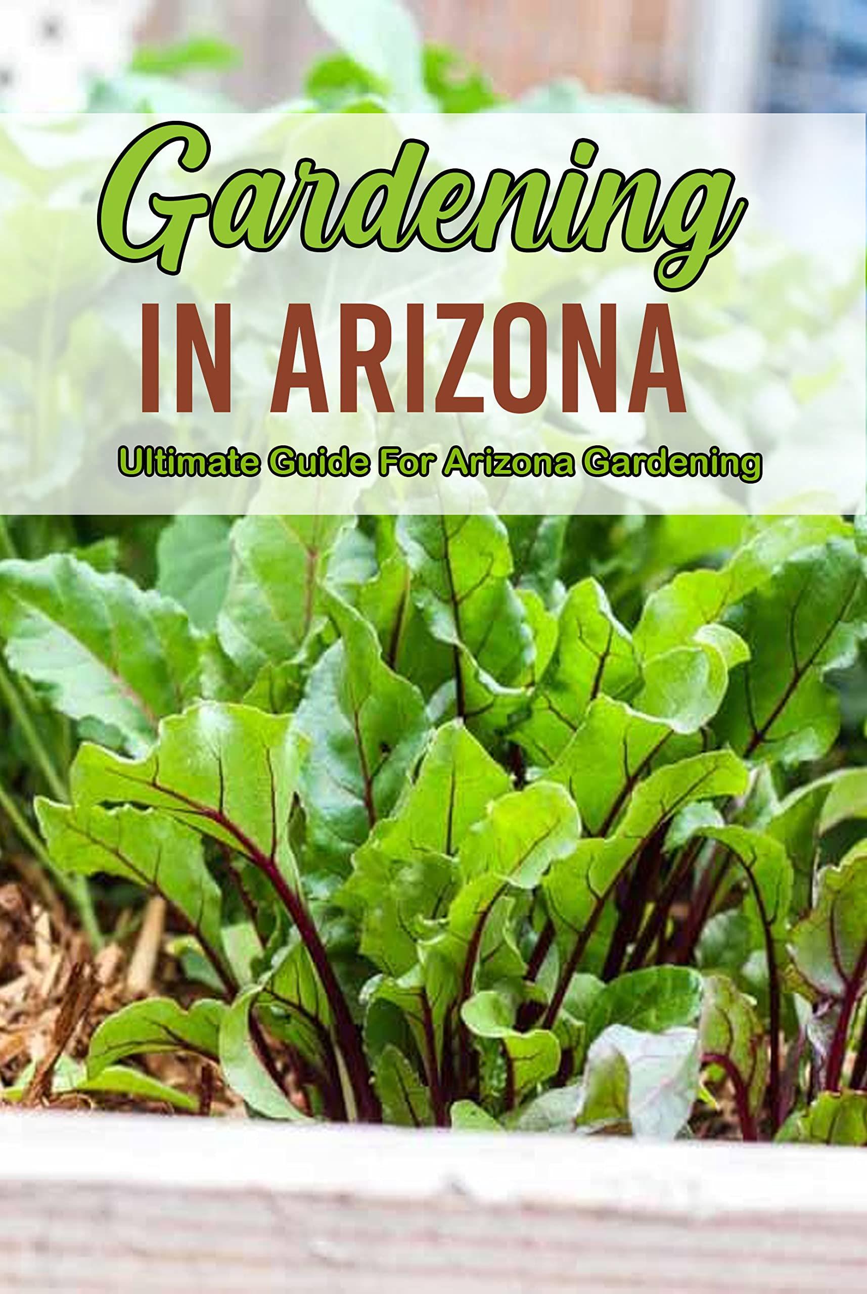gardening-in-arizona-ultimate-guide-for-arizona-gardening-steps-to