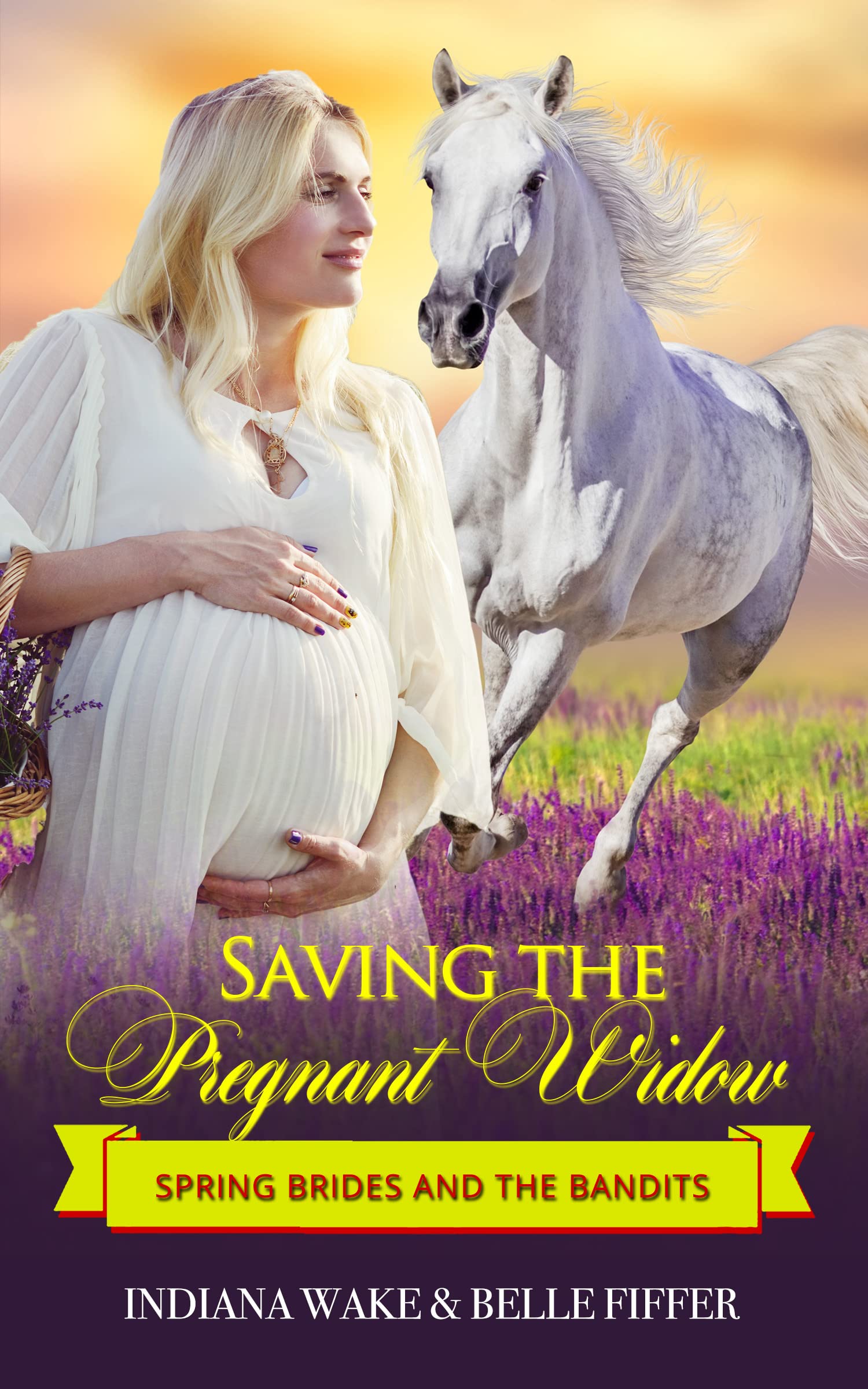 Saving the Pregnant Widow book cover