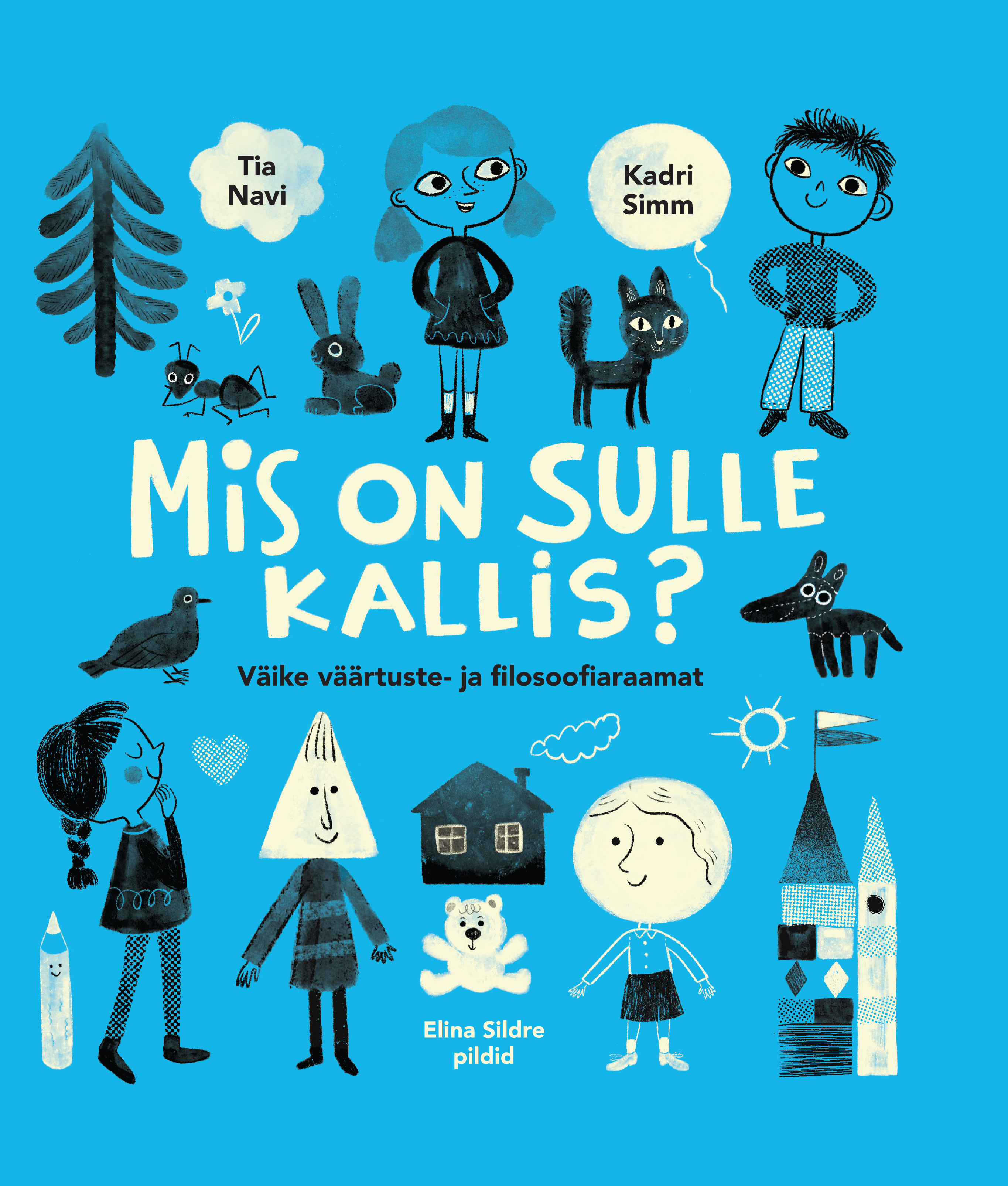 Mis on sulle kallis? : väike väärtuste- ja filosoofiaraamat