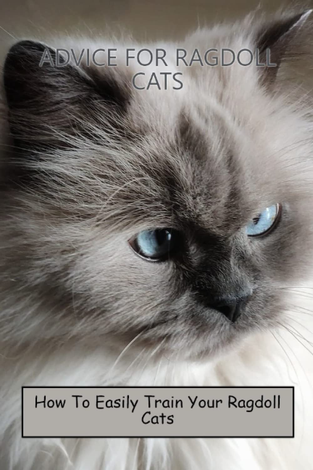 Advice For Ragdoll Cats How To Easily Train Your Ragdoll Cats by Wes