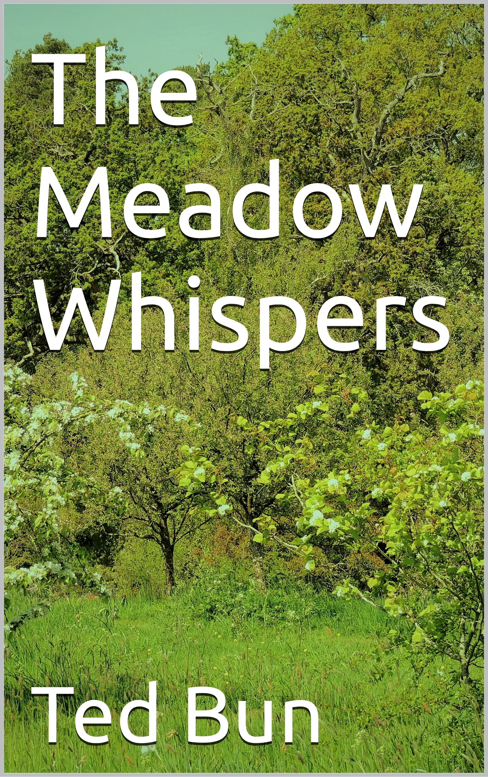 The Meadow Whispers