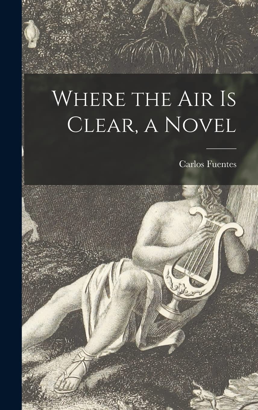 Where the Air is Clear, a Novel book cover