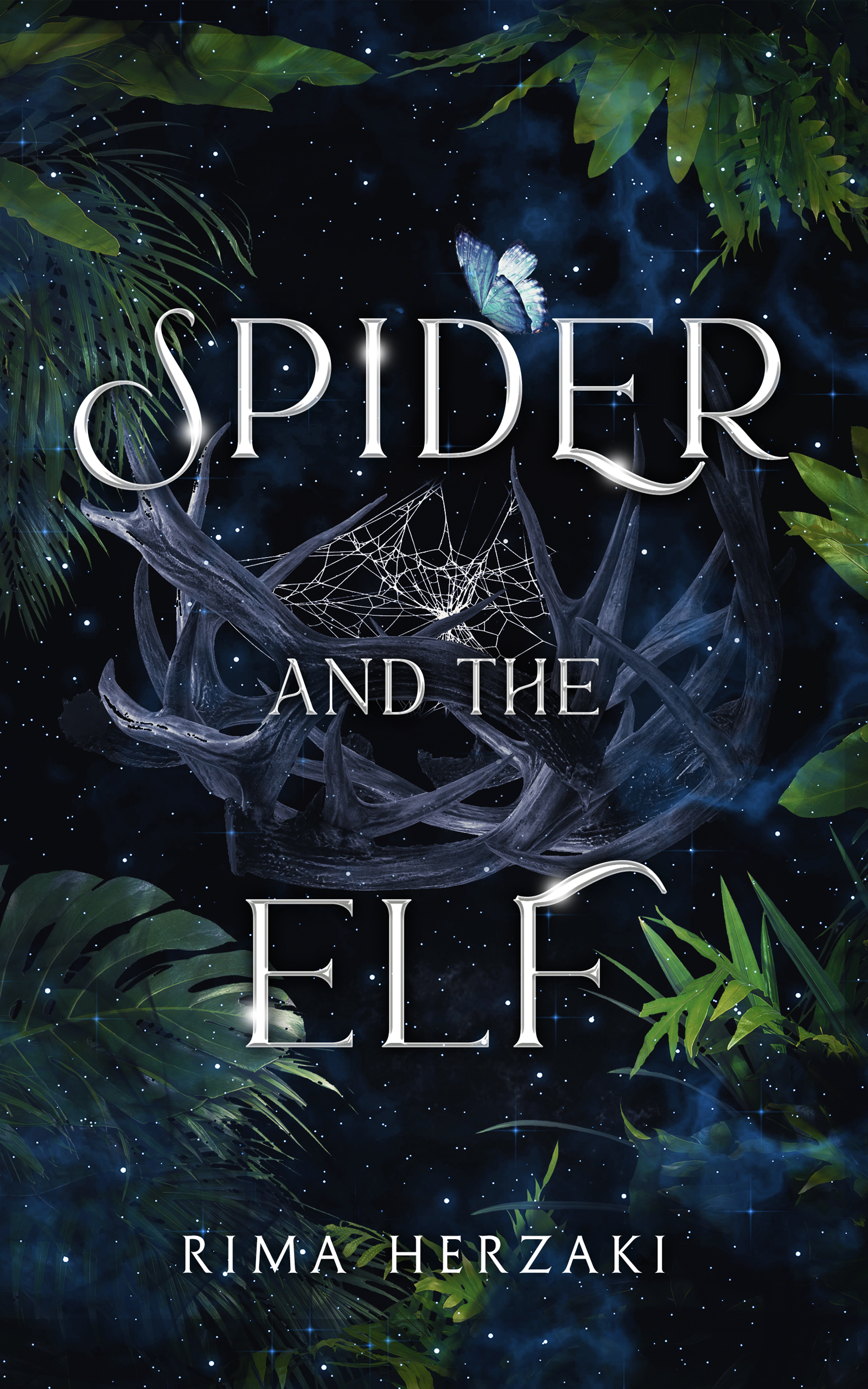 Spider and the Elf