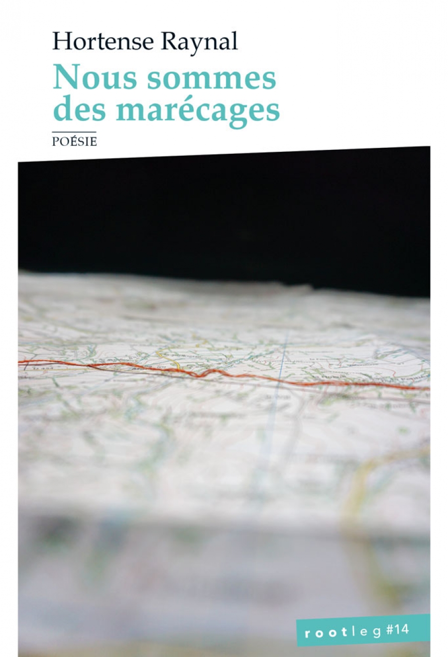 Nous sommes des marécages