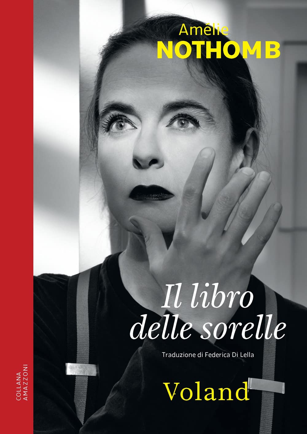 Il libro delle sorelle book cover