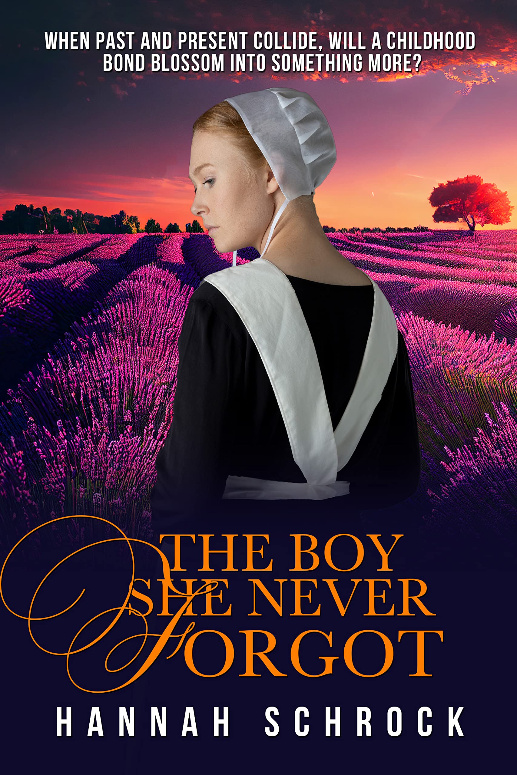 The Boy She Never Forgot book cover