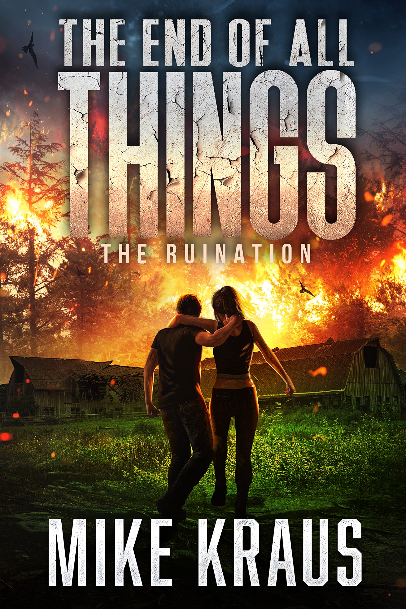 The Ruination book cover