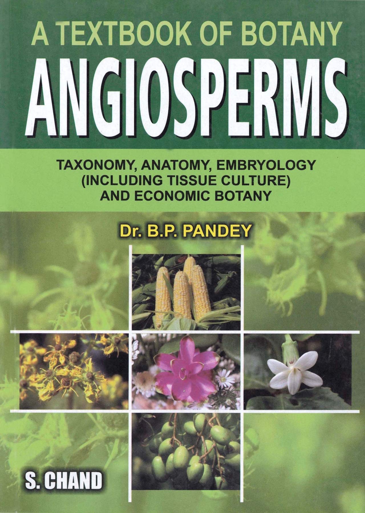 A Textbook of Botany Angiosperms by BP Pandey Goodreads