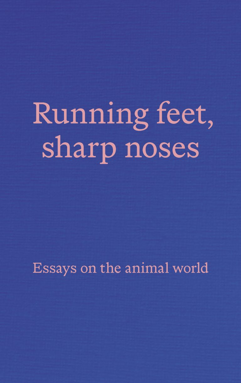 Running feet, sharp noses by Latifa Akay Goodreads