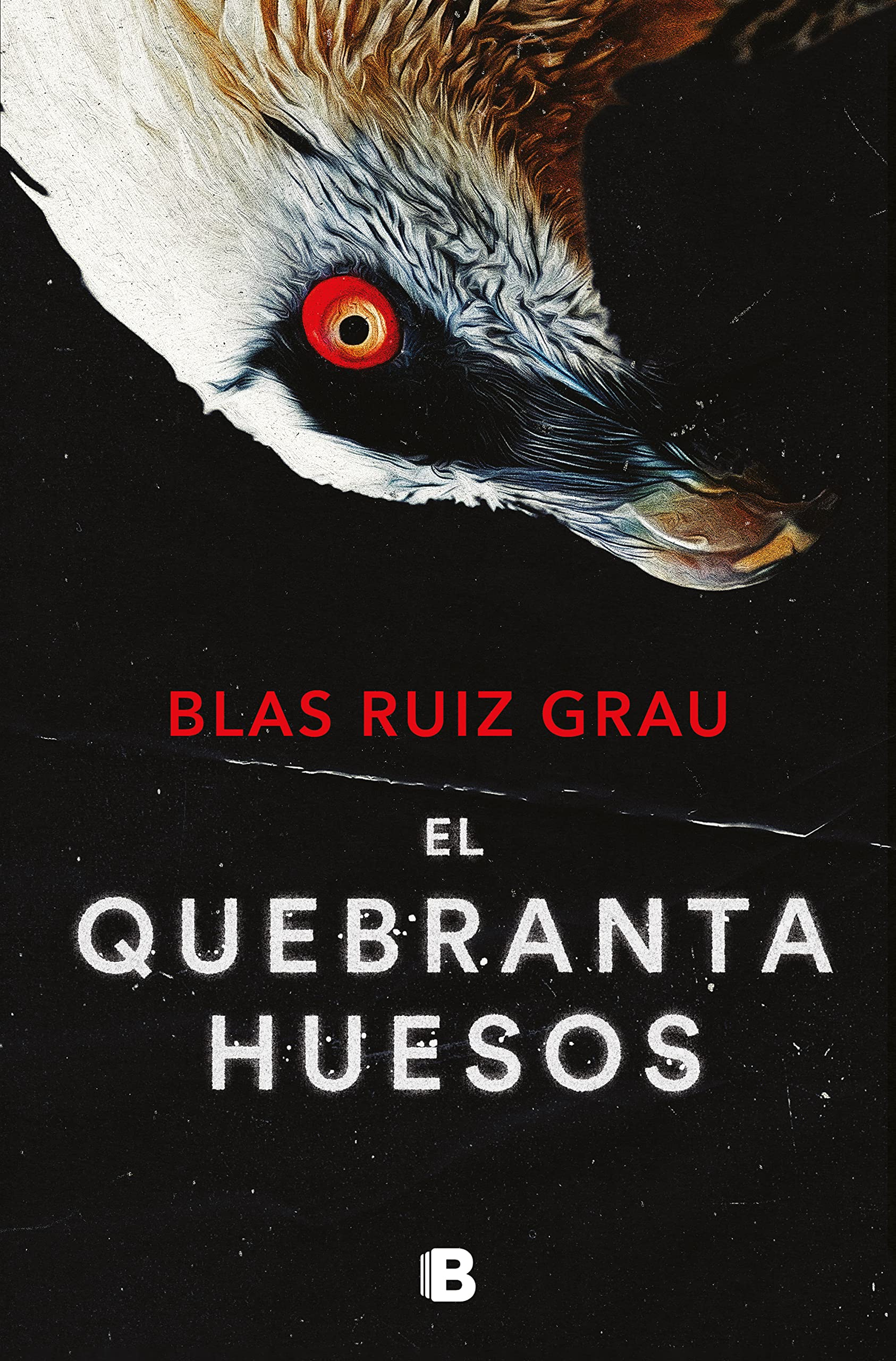 El quebrantahuesos (Nicolás Valdés 4) book cover