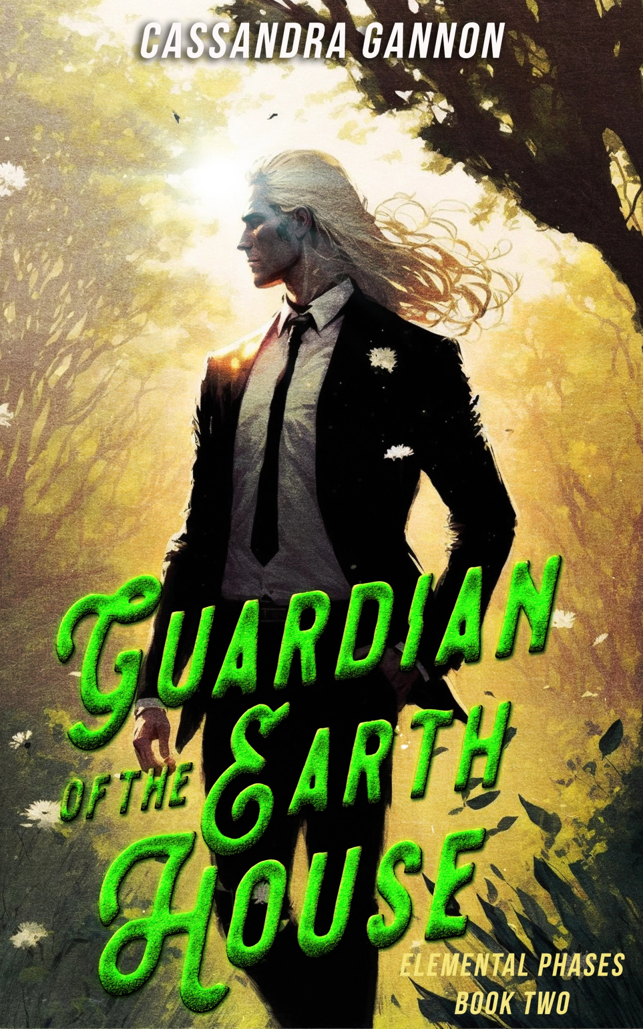 Guardian of the Earth House (Elemental Phases, #2)