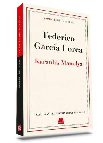 Karanlık Manolya book cover