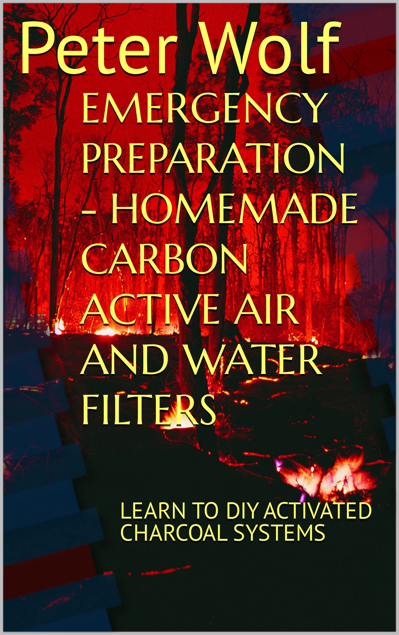 EMERGENCY PREPARATION HOMEMADE CARBON ACTIVE AIR AND WATER FILTERS