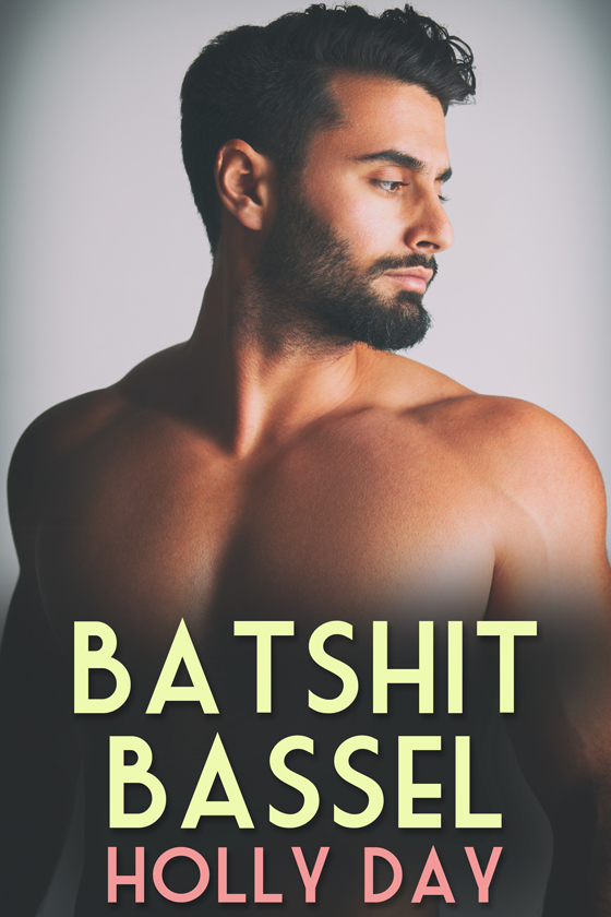 Batshit Bassel book cover