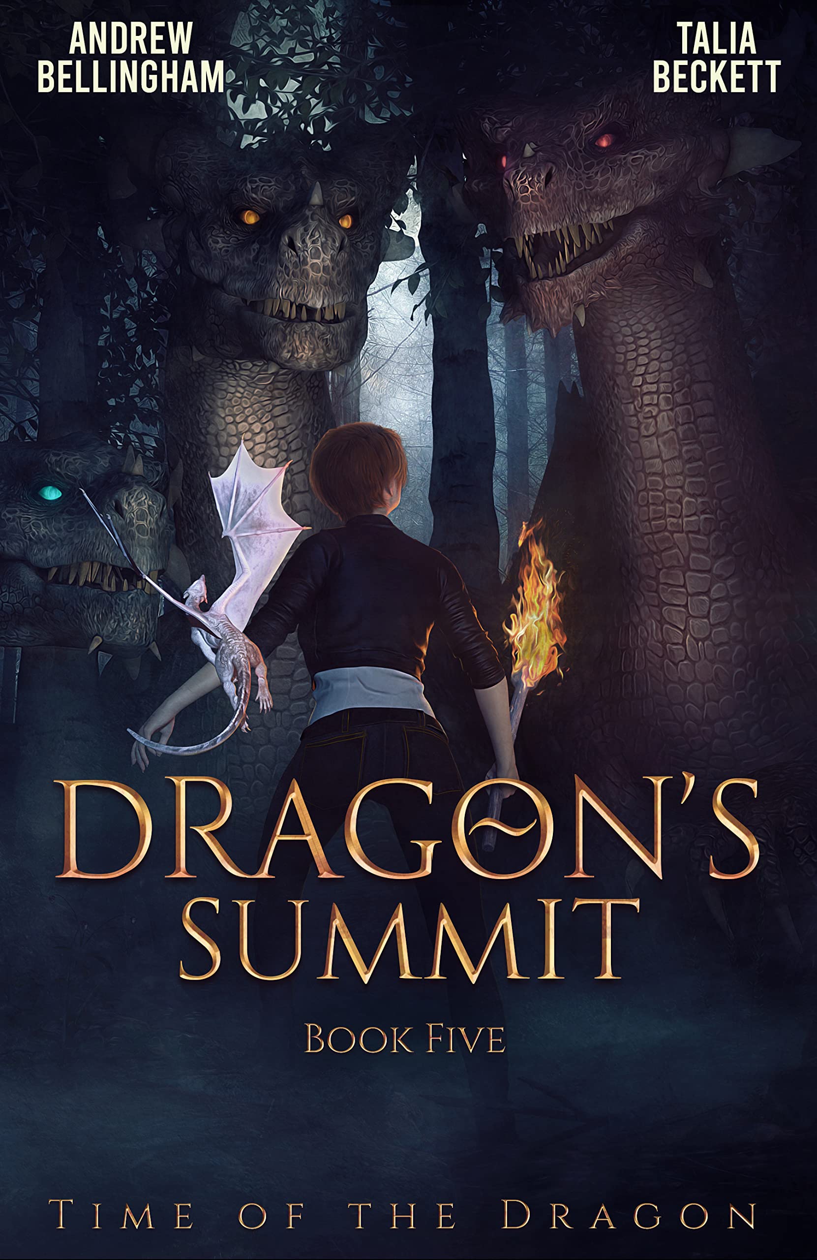 Dragon's Summit book cover