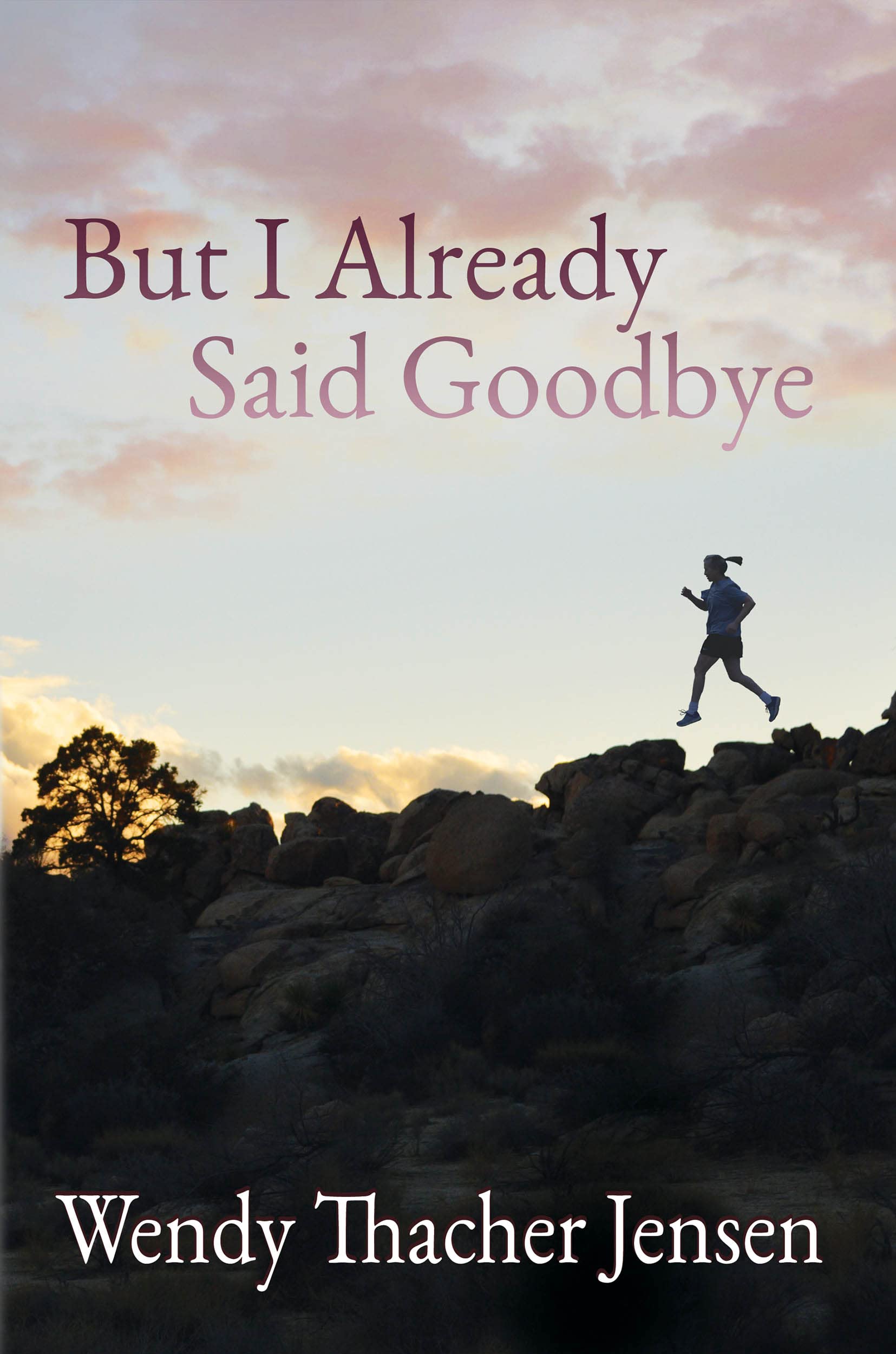 But I Already Said Goodbye