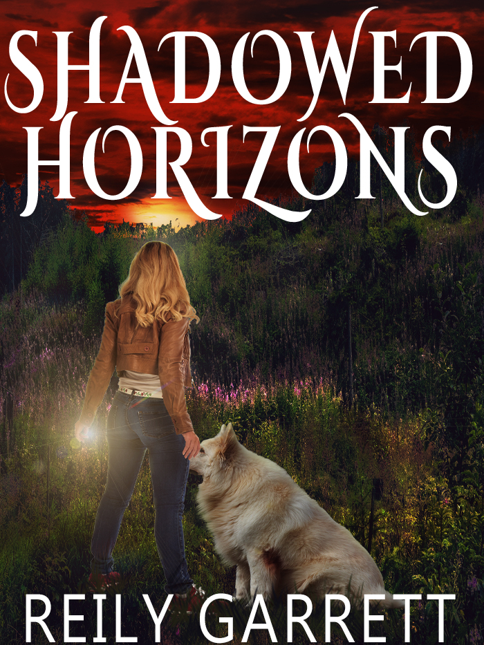Shadowed Horizons