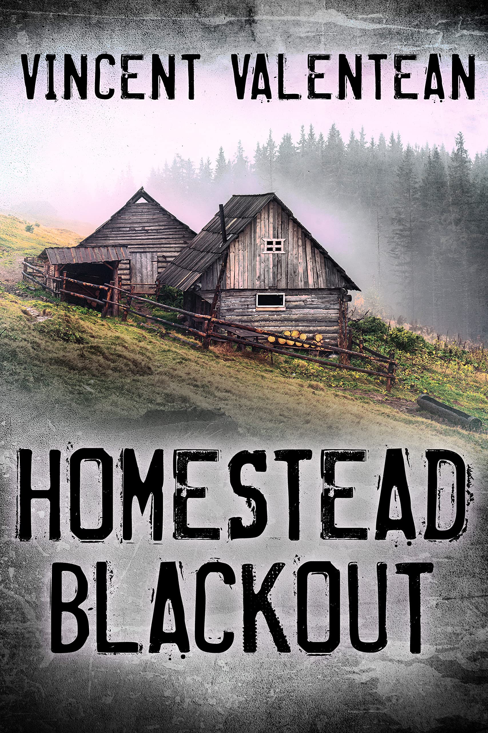 Homestead Blackout book cover