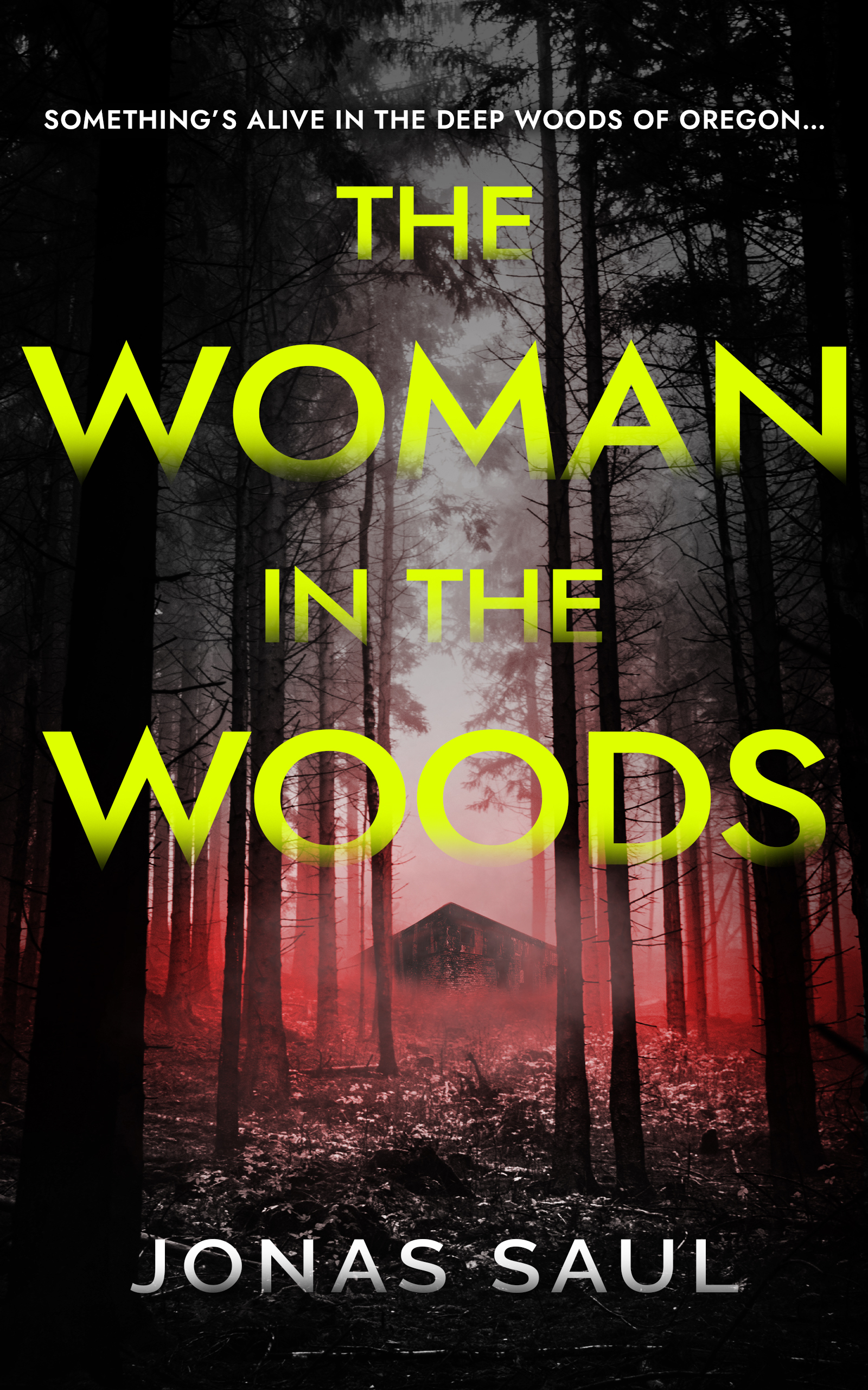 The Woman in the Woods book cover