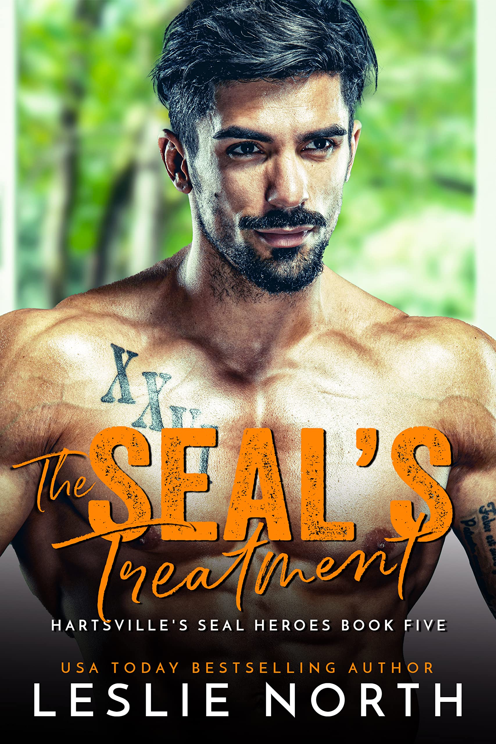 The SEAL's Treatment book cover