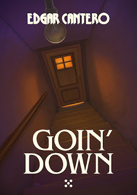 Goin’ Down book cover
