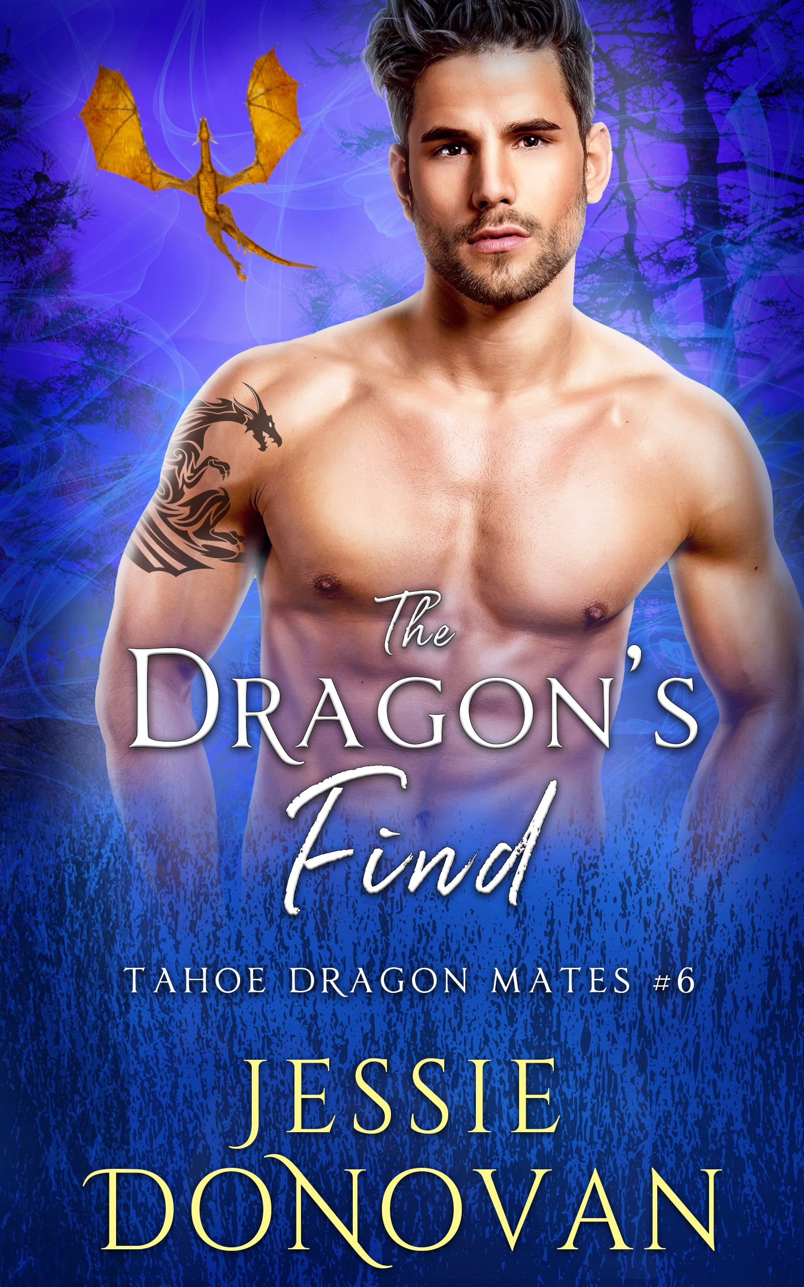 The Dragon's Find book cover