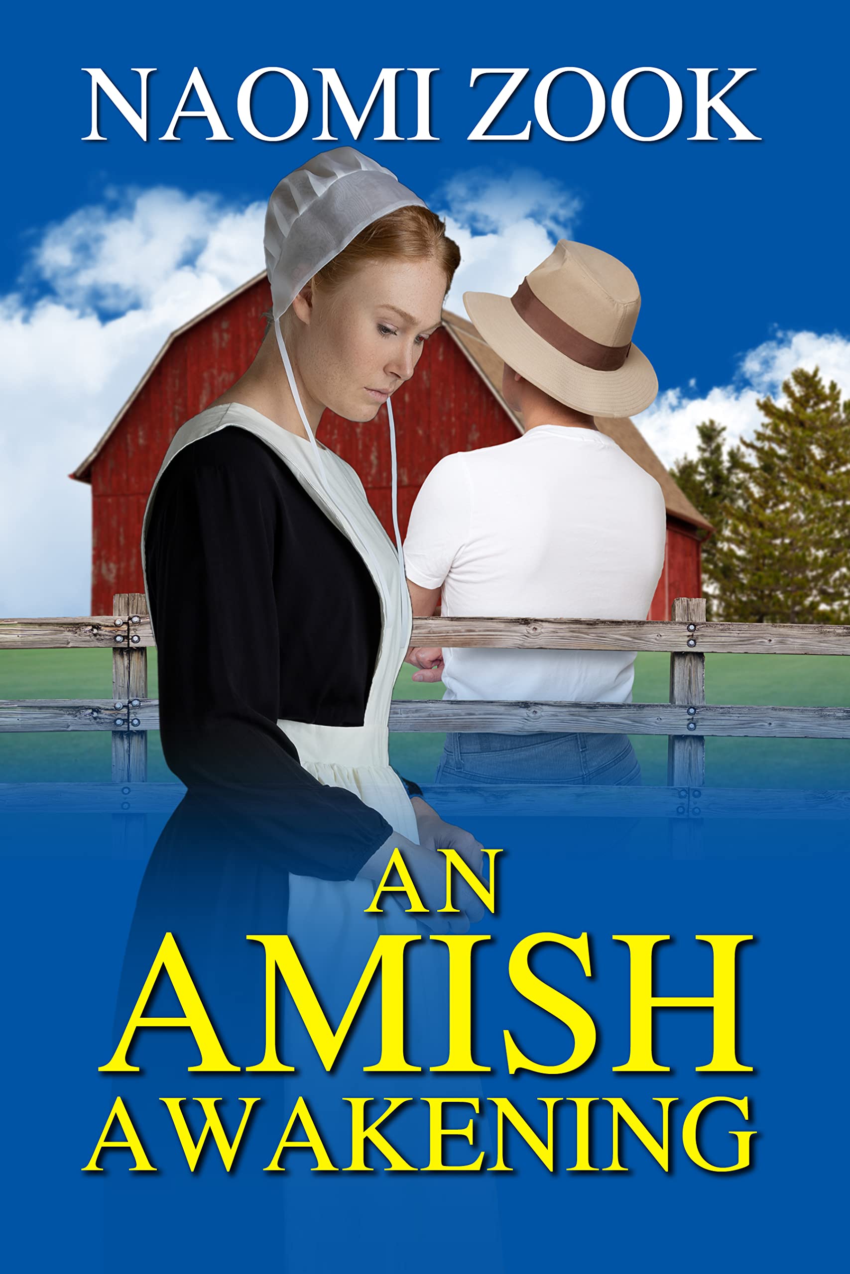 An Amish Awakening
