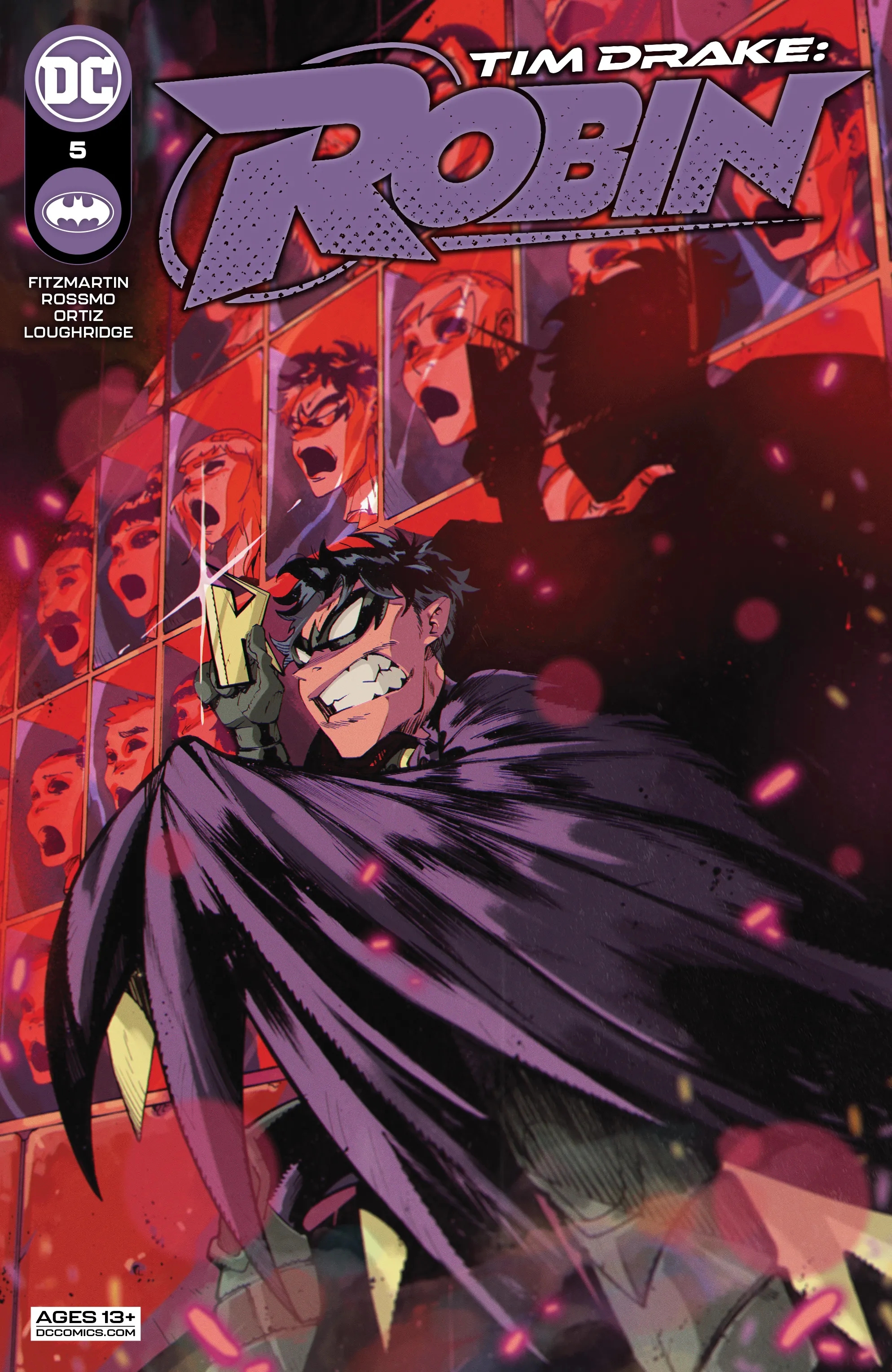 Tim Drake book cover