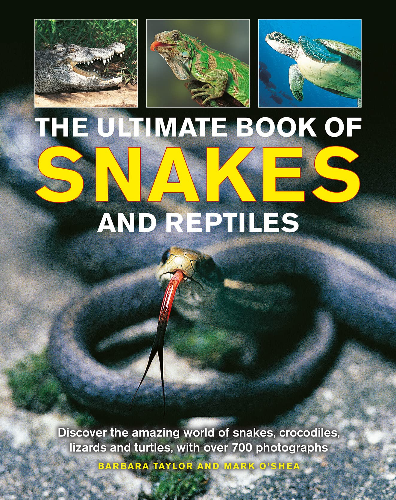 The Ultimate Book of Snakes and Reptiles Discover The Amazing World Of