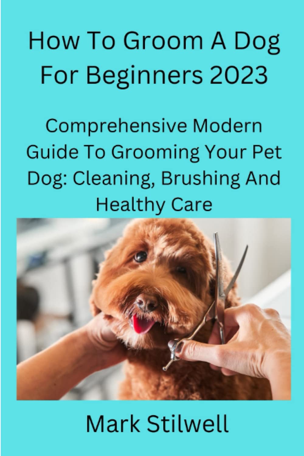 How To Groom A Dog For Beginners 2023 Comprehensive Modern Guide To
