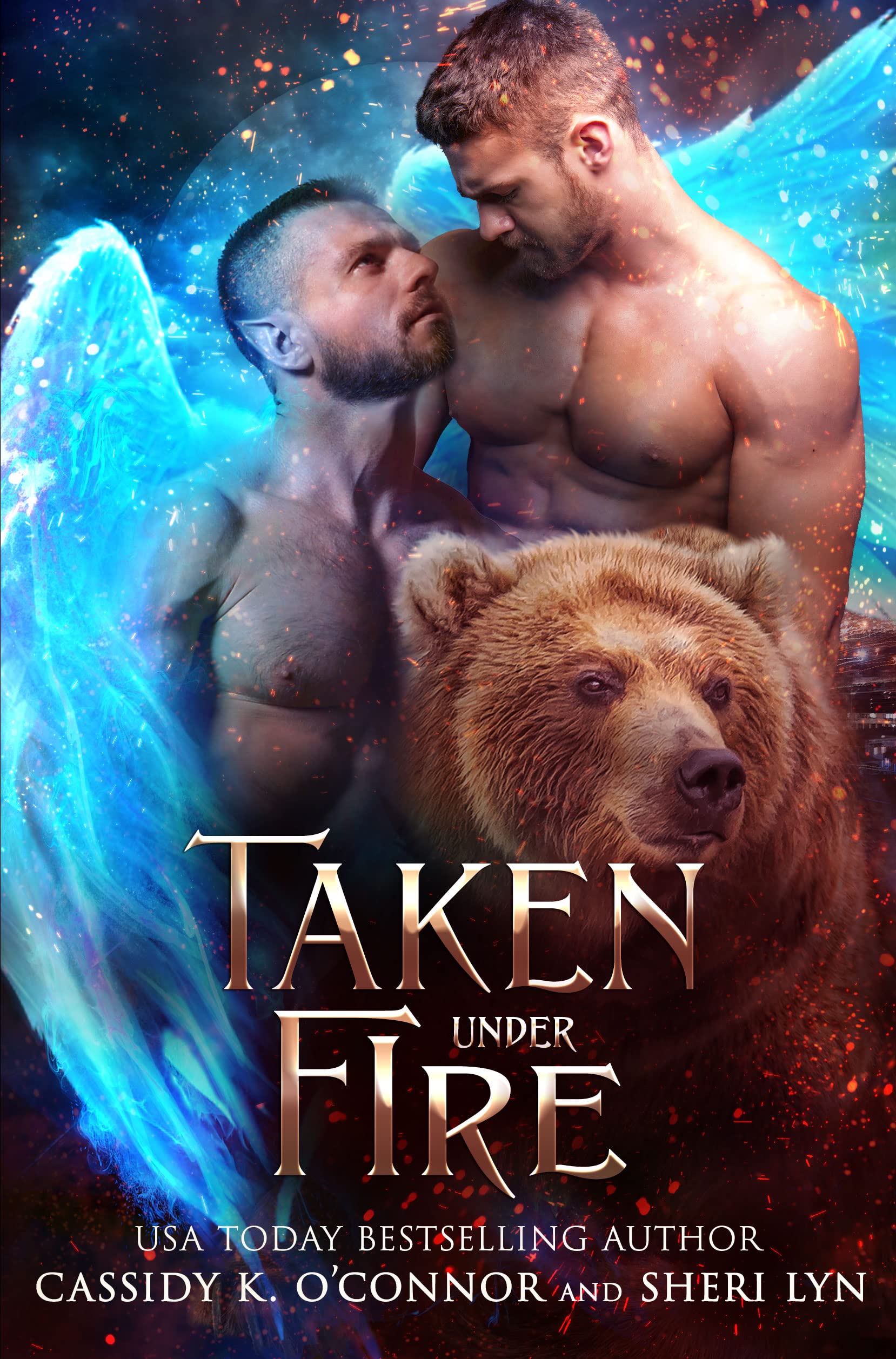 Taken Under Fire book cover