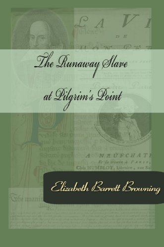 The Runaway Slave at Pilgrim's Point