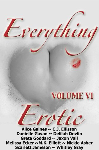 Everything Erotic Volume VI book cover