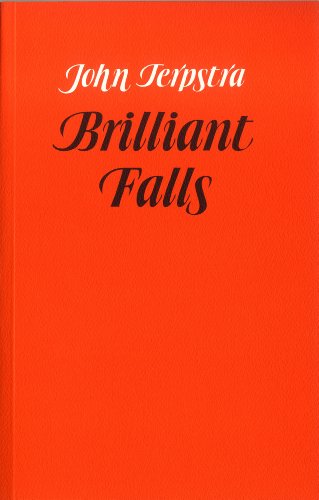 Brilliant Falls book cover