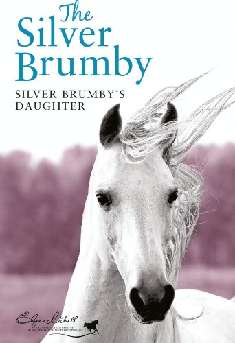 Silver Brumby's Daughter