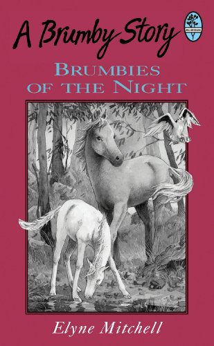 Brumbies of the Night