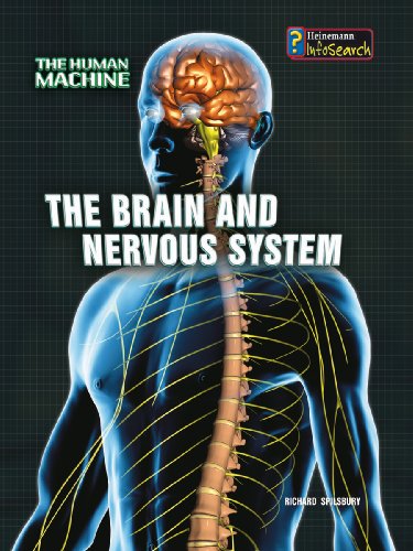 The Brain and Nervous System by Richard Spilsbury | Goodreads